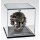 Historischer Model Helm 1:5  Tacticak Striker Helm USA 2017 in Vitrine